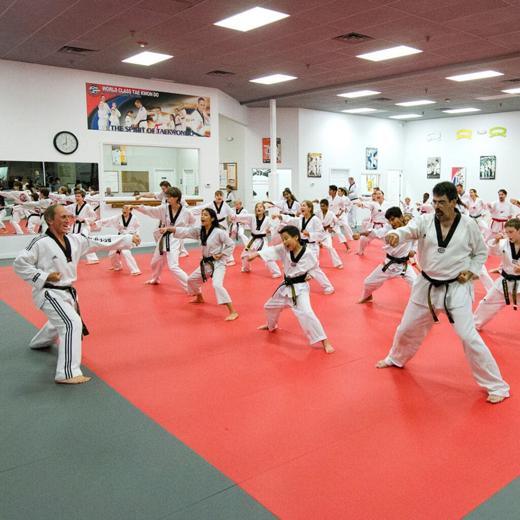 Family Martial Arts in West Chester, PA · Master P's World Class Tae