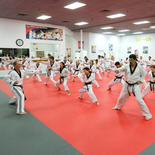 Family martial arts classes