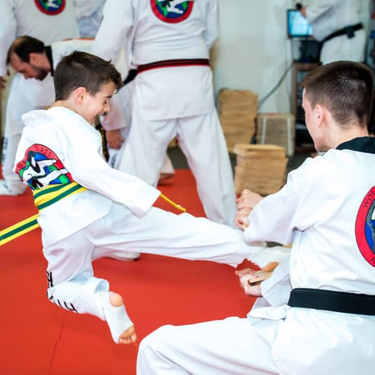 Tae Kwon Do for Competition or Tae Kwon Do As An After School Program?