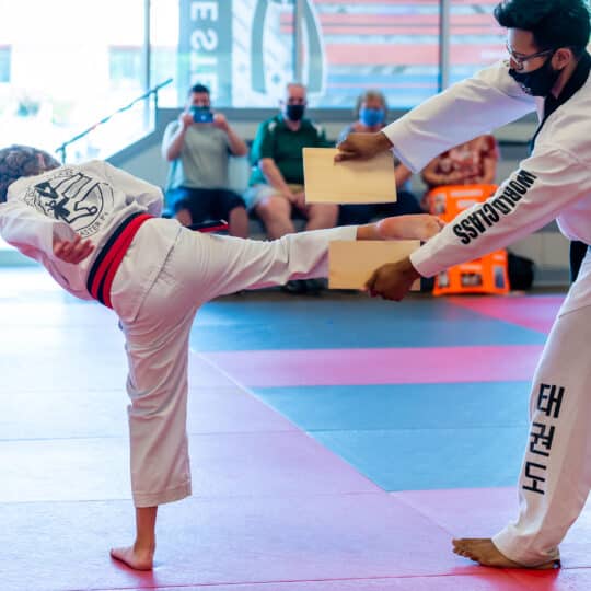 Kindergarten to 5th Grade Martial Arts Demonstration at West Chester, PA Schools