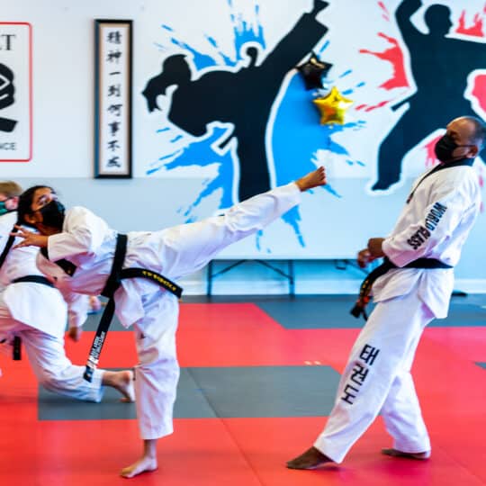 Karate and Kung Fu