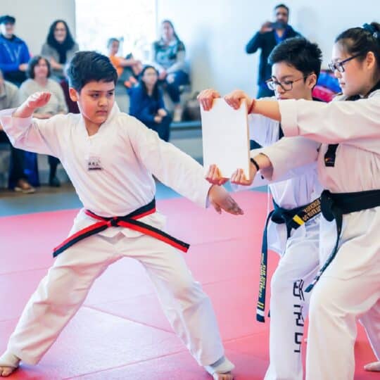 Why Should Children Learn Taekwondo?