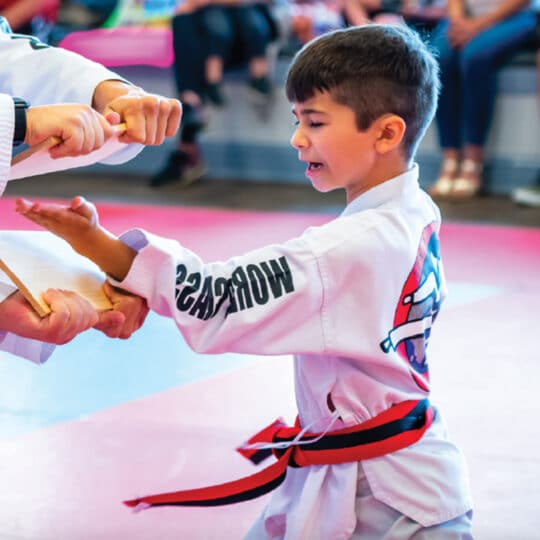 Tae Kwon Do and Brain Development