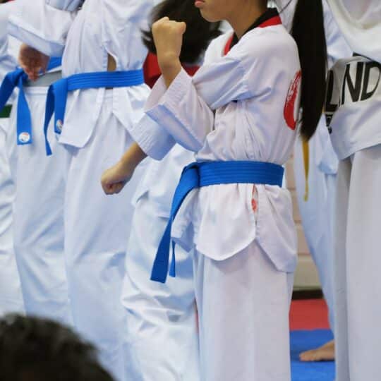 Picking Taekwondo Over Other Martial Arts